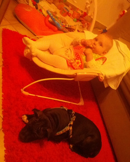 Nanny dog Cruu