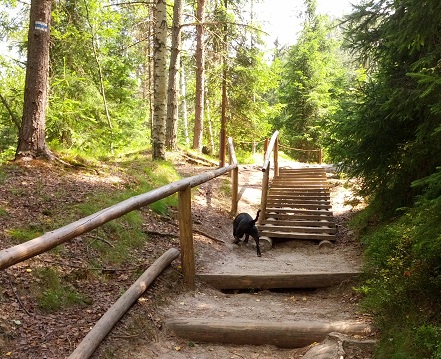 Výšlap